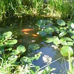 In Mit Offenem Kamin By Interhome Zendscheid