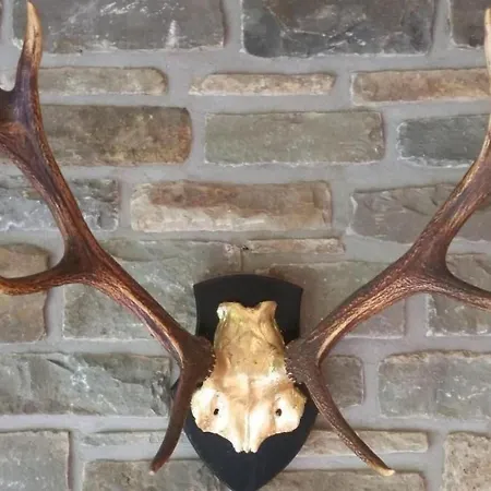 Apartment In Mit Offenem Kamin By Interhome Zendscheid