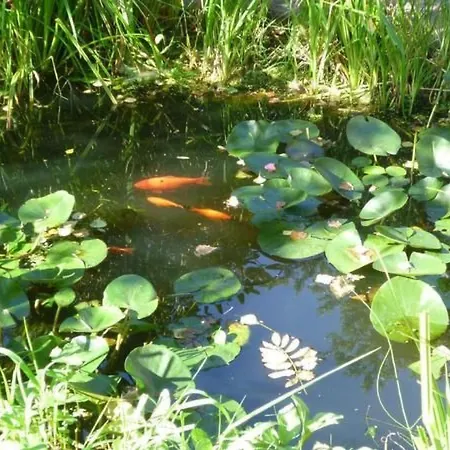 In Mit Offenem Kamin By Interhome Zendscheid