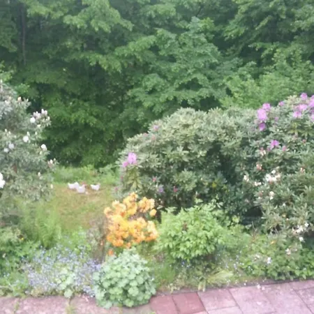 Apartment In Mit Offenem Kamin By Interhome *