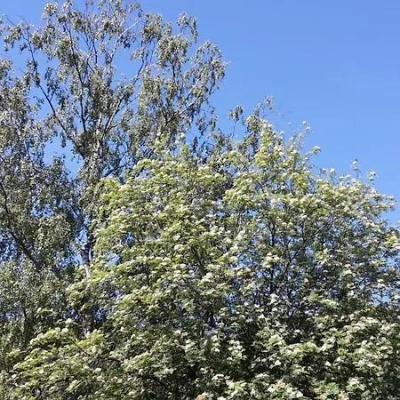 Apartment In Mit Offenem Kamin By Interhome Zendscheid