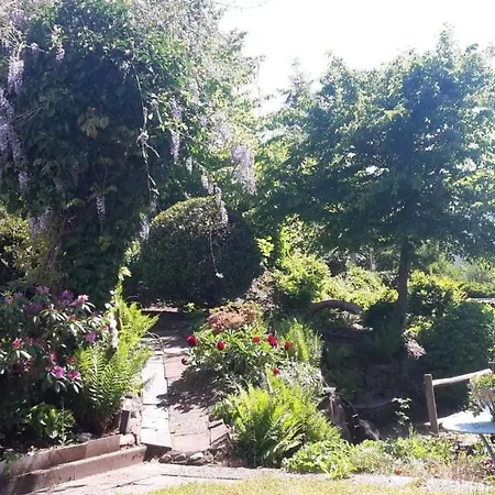 In Mit Offenem Kamin By Interhome Apartment Zendscheid