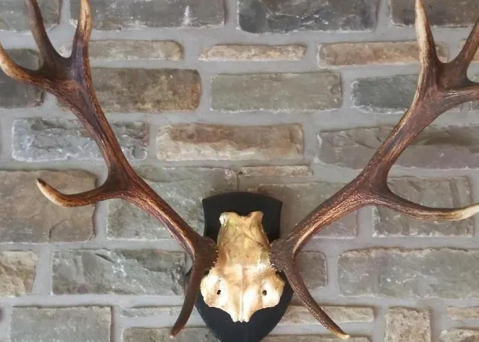 Apartamento In Mit Offenem Kamin By Interhome Zendscheid