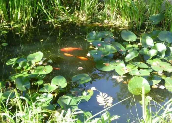 In Mit Offenem Kamin By Interhome Zendscheid