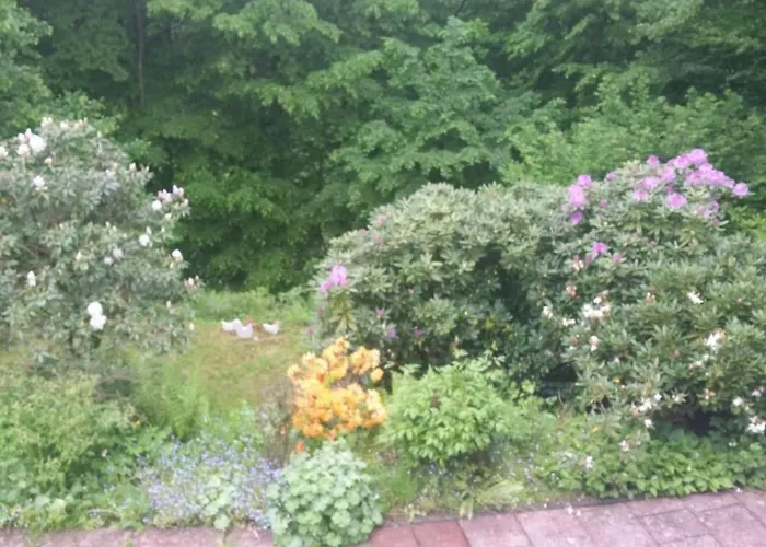 Apartamento In Mit Offenem Kamin By Interhome *