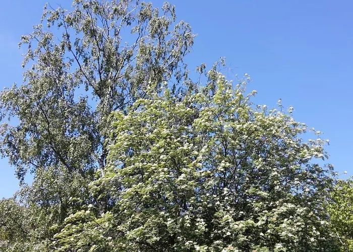 Apartamento In Mit Offenem Kamin By Interhome Zendscheid